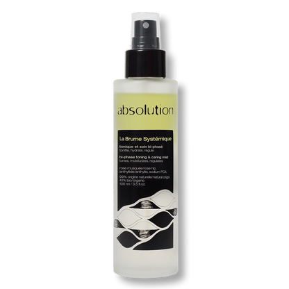 La Brume Systémique