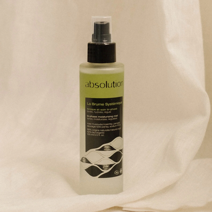 La Brume Systémique